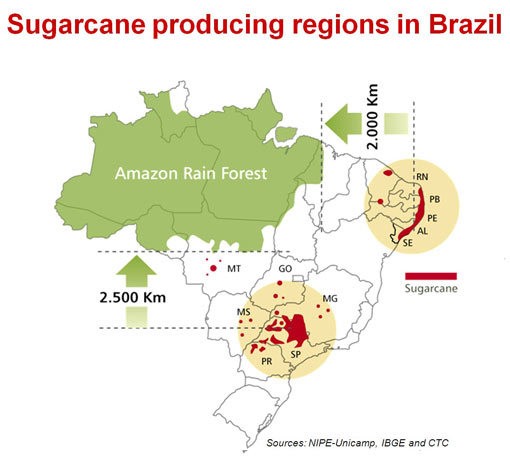 甘蔗生質塑膠的甘蔗產自巴西